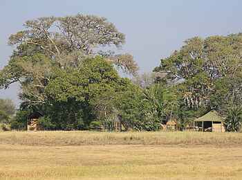 Busanga Bush Camp: Campansicht Busanga Bush Camp: Campansicht