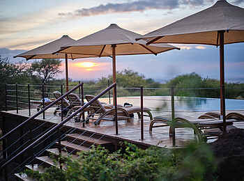 Elephant Gorge Camp: Poolbereich mit Liegen