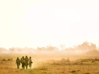 Mogogelo Camp: Wandersafari Mogogelo Camp: Wandersafari