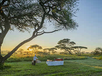 Serengeti Sametu Camp: Bush Dinner Serengeti Sametu Camp: Bush Dinner