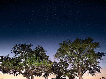 Linyanti Expeditions: Zelt unter Sternen himmel Linyanti Expeditions: Zelt unter Sternen himmel