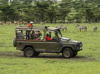 Richards River Camp: Safari Richards River Camp: Safari