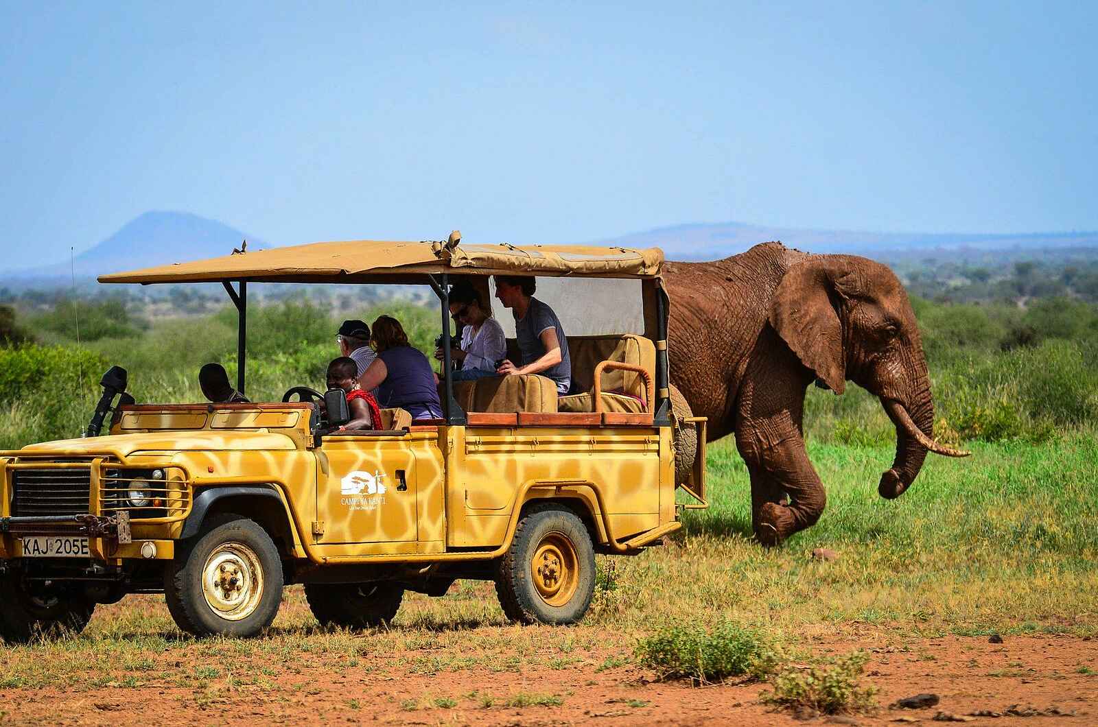 Campi ya Kanzi Lodge: Game Drive Campi ya Kanzi Lodge: Game Drive