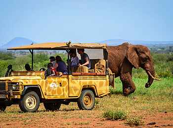 Campi ya Kanzi Lodge: Game Drive Campi ya Kanzi Lodge: Game Drive