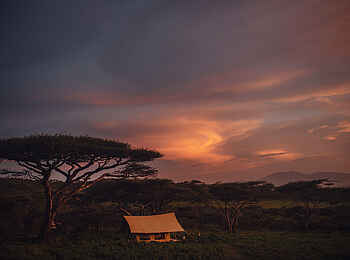 Charlie Sanjan Safari Camp: dramatischer Himmel