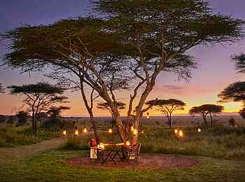 Legendary Songa Migrational Camp: Morgendämmerung