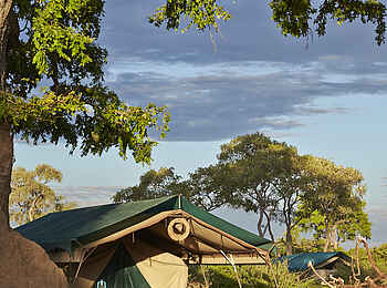 Mdonya Old River Camp: Gästezelte im Sonnenschein