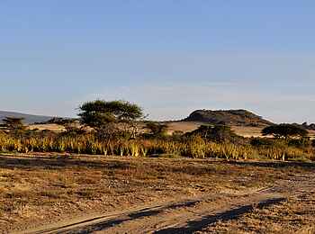 Olduvai Camp: Hügel in der Umgebung des Camps