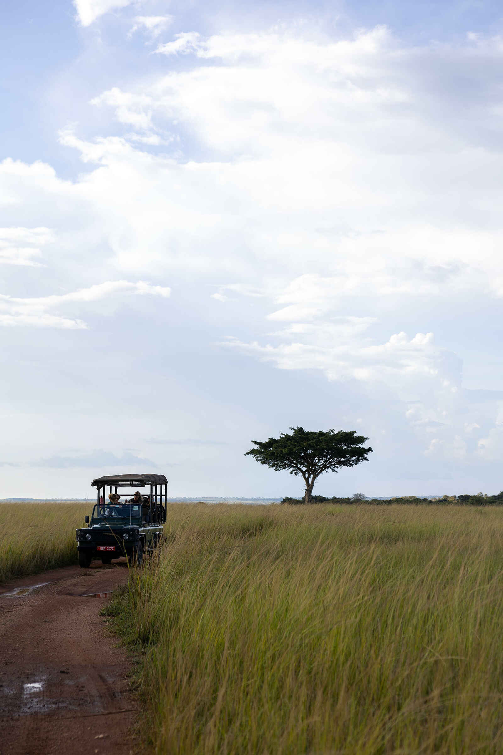 Papa´s Camp: Game Drive Papa´s Camp: Game Drive