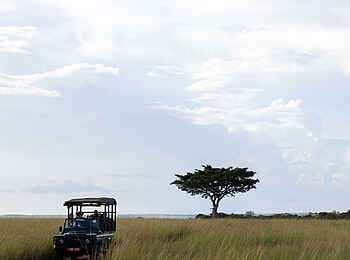Papa´s Camp: Game Drive