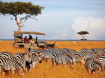 Saruni Mara Camp: Game Drive