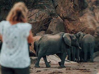 Wayo Manyara Green Camp: Elefanten hautnah