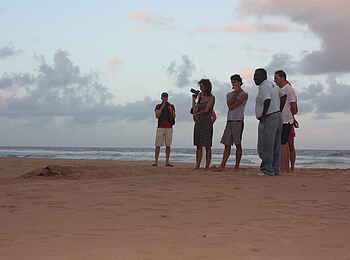 White Pearl Resorts: Schildkrötenbeobachtung