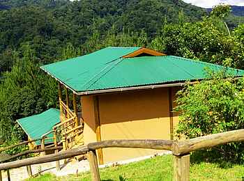 Ichumbi Gorilla Lodge: Lage am Hang