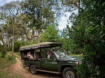 Sentinel Mara Camp: Eine Safari
