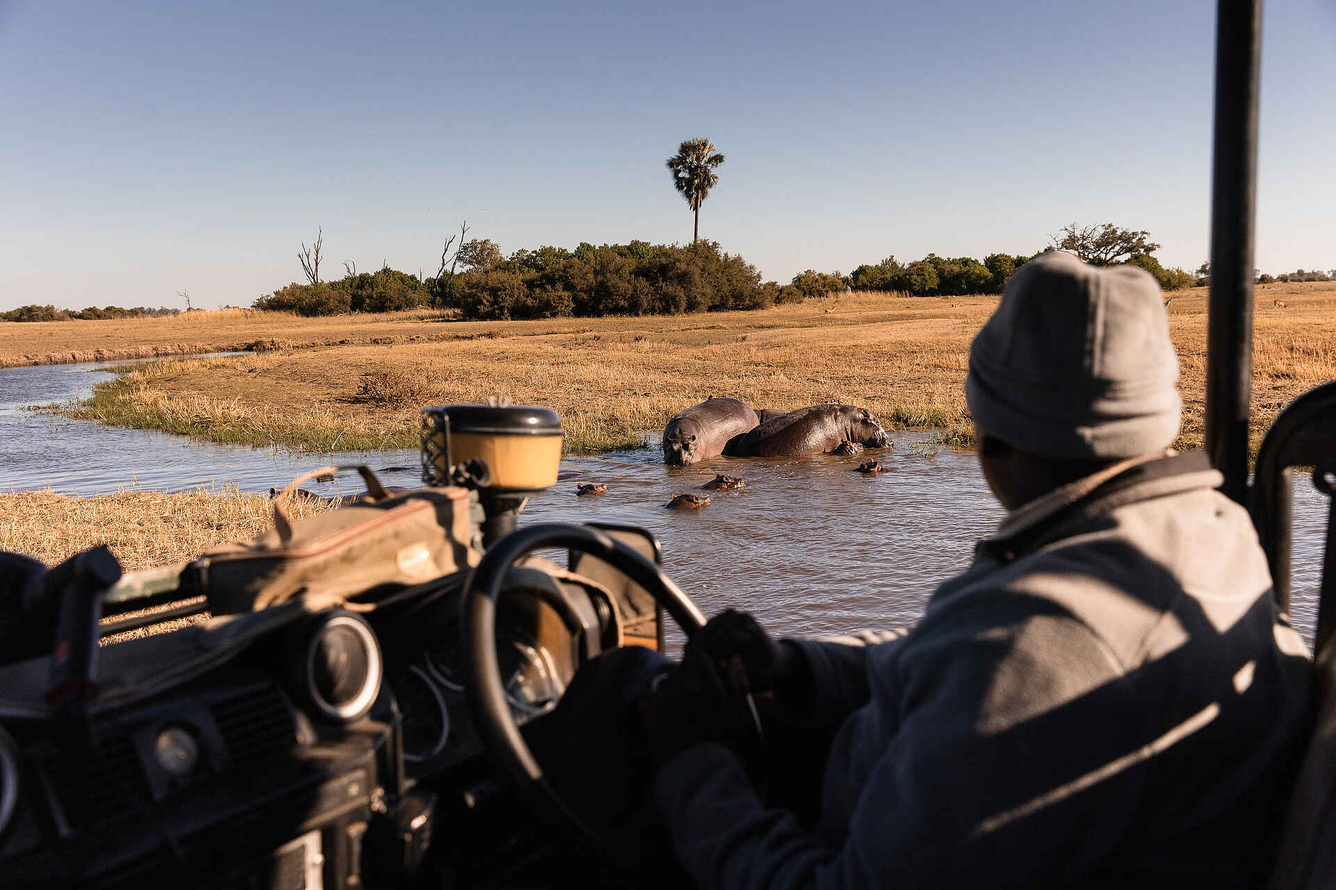 Chitabe Camp: Nilpferde im Wasser