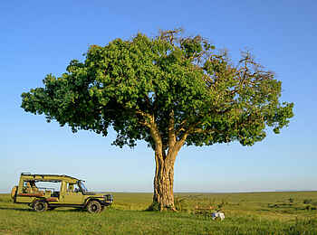 Entim Private Wing Camp: Pirschfahrt Entim Private Wing Camp: Pirschfahrt