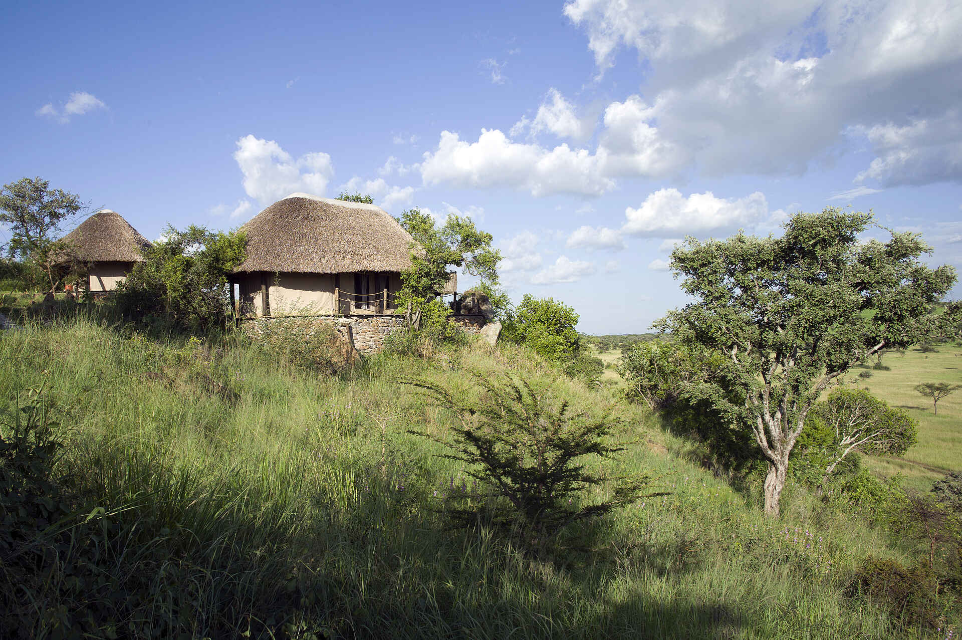 Grumeti Hills Camp, Serengeti, Tanganyika Expeditions, Gästechalet, Reetdach, Afrikarma, Afrikarma Safaris, Afrikarma Safaris - Wildnis. Hautnah., Afrikarma.de