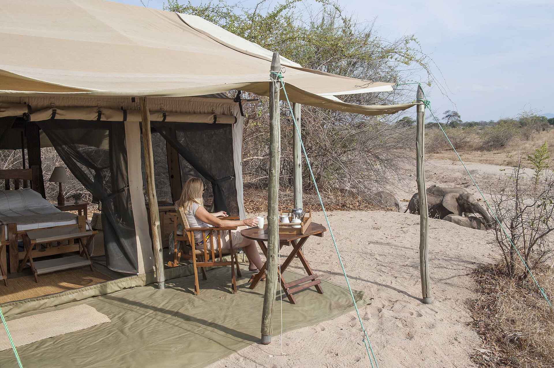 Kigelia Camp: Blick ins trockene Bett des Ifuguro River