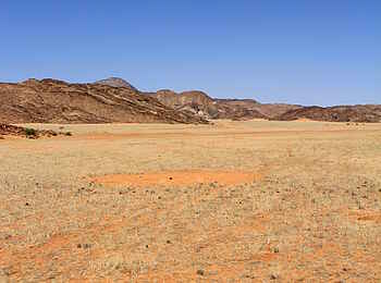 Okahirongo River Camp: Wüstenlandschaft Okahirongo River Camp: Wüstenlandschaft