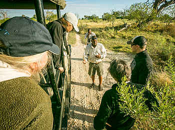 Bushman Plains Camp: Spurenlesen Bushman Plains Camp: Spurenlesen