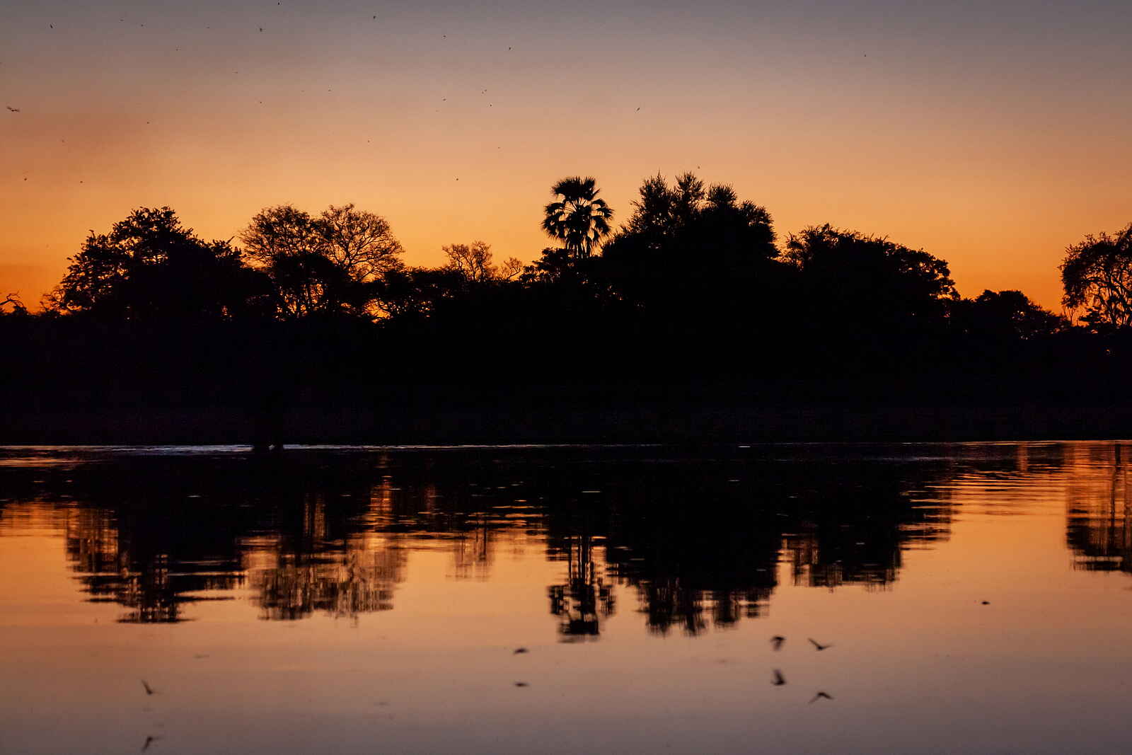 Gomoti Plains Camp: Abendrot am Fluss Gomoti Plains Camp: Abendrot am Fluss