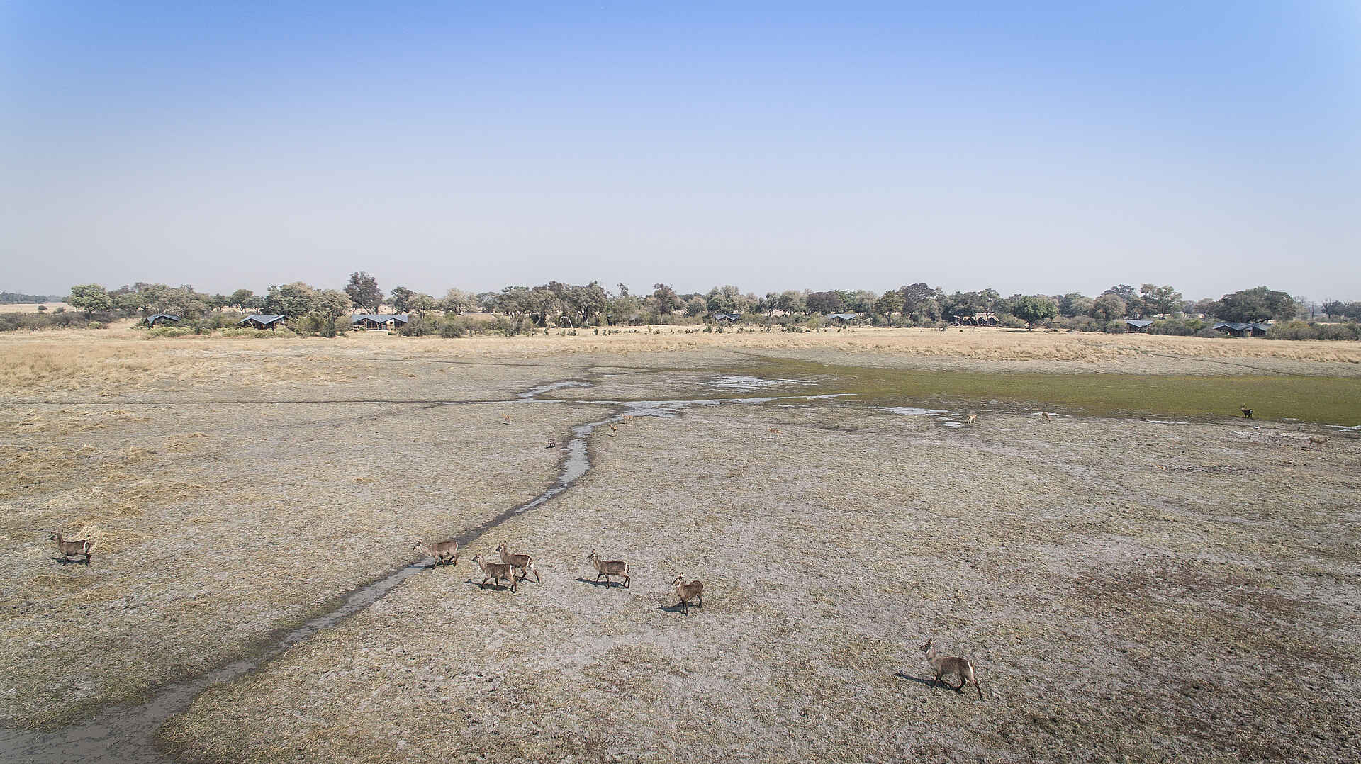 Botswana, Kwando Safaris, Okavango Delta, Safari, Afrikarma, Afrikarma Safaris, Afrikarma Safaris - Wildnis. Hautnah, Afrikarma.de, Kwando Splash, NG20, Okawango-Delta, Landschaft, Luftbild, Panoram, Wasserloch