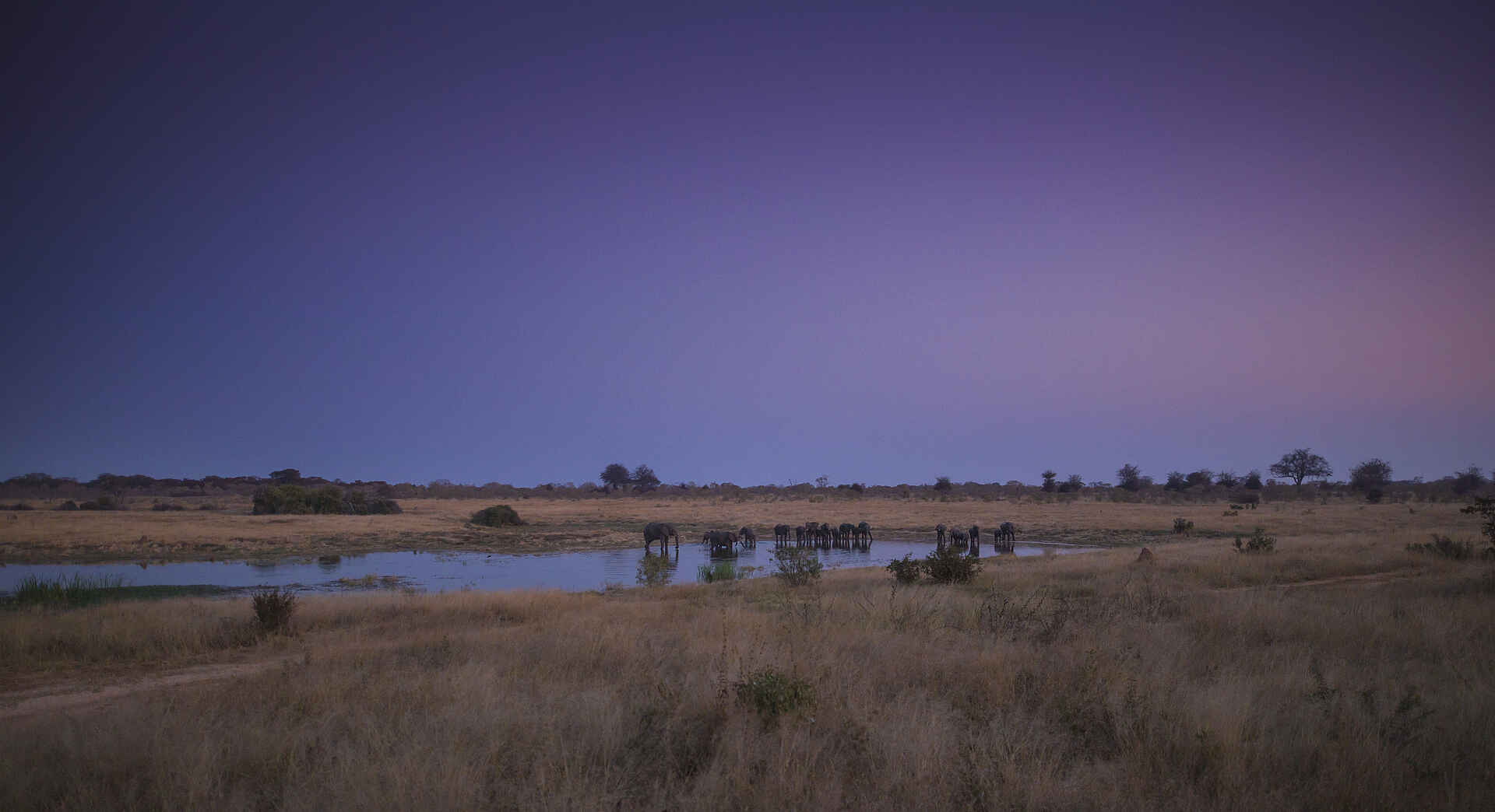 Hwange National Park, Machaba Safaris, Verney's Camp, Abends, Elefant, Landschaft, Wasserstelle, Afrikarma, Afrikarma Safaris, Afrikarma Safaris. Wildnis. Hautnah., Afrikarma.de