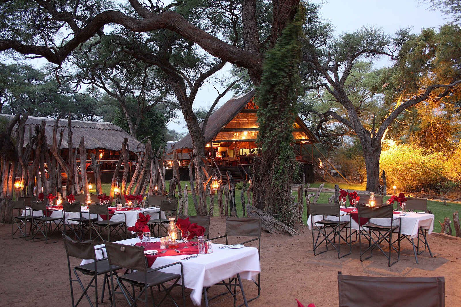 Elephant Valley Lodge: Abendessen im Freien Elephant Valley Lodge: Abendessen im Freien
