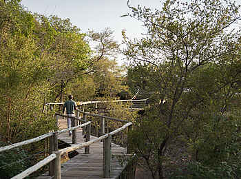 Mashatu Lodge: Wege im Camp Mashatu Lodge: Wege im Camp