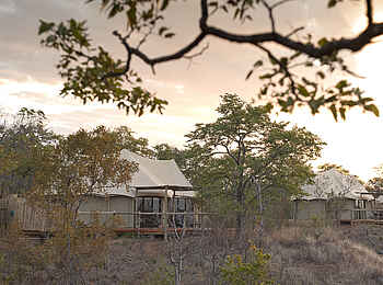 The Elephant Camp: Gästezelte mit Veranden