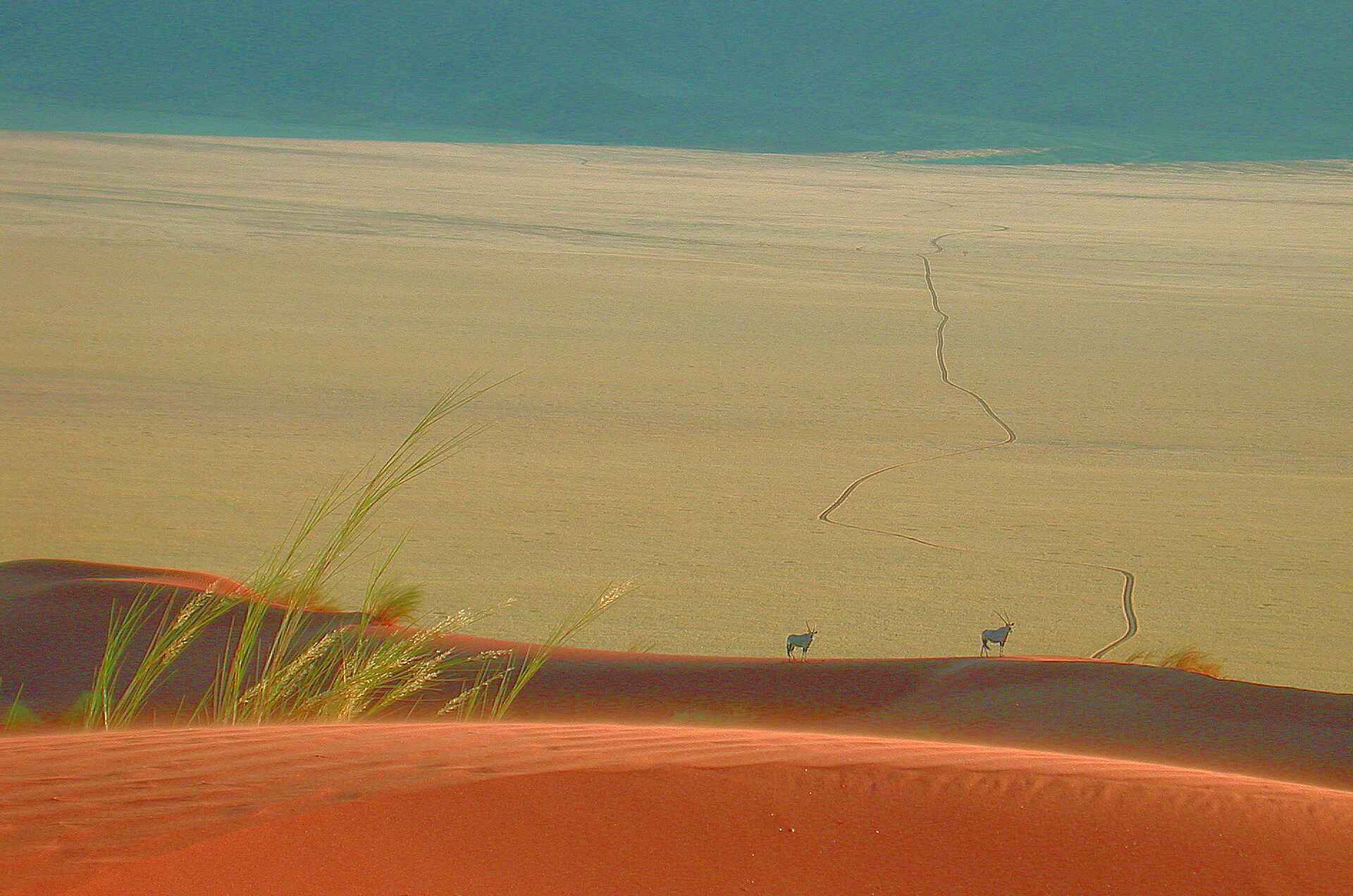 Wolwedans Boulders Camp: Oryxe