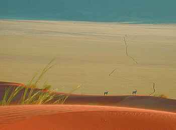 Wolwedans Boulders Camp: Oryxe