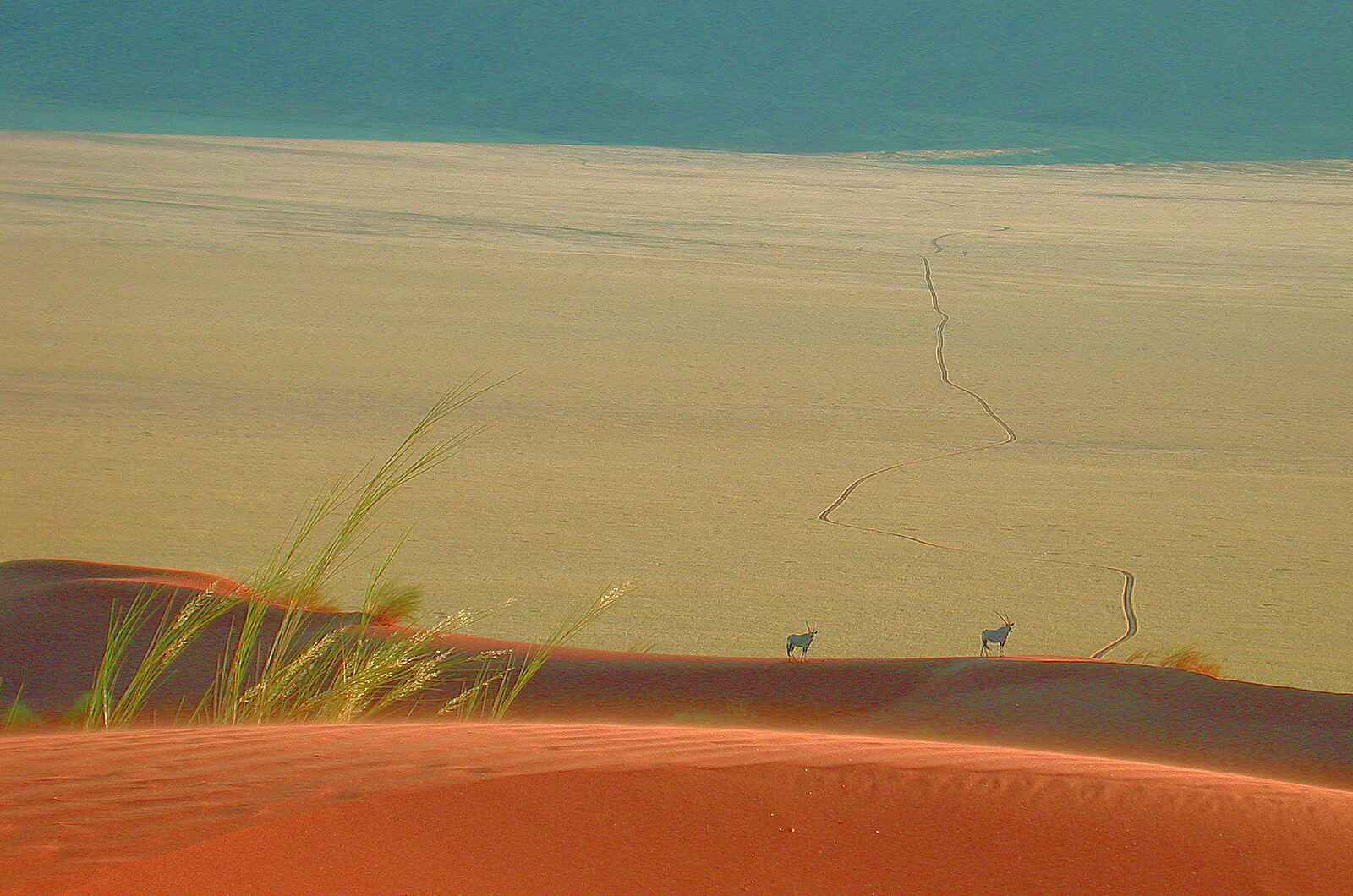 Wolwedans Boulders Camp: Oryxe Wolwedans Boulders Camp: Oryxe