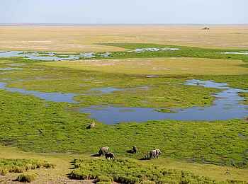 Amboseli Serena Safari Lodge: Blick auf die Marschen vom Aussichtshügel Amboseli Serena Safari Lodge: Blick auf die Marschen vom Aussichtshügel