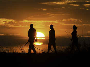 Selinda Camp: Sonnenuntergang