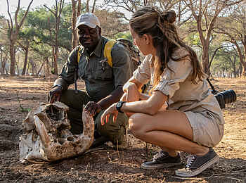 Amanzi Camp: Fund eines Nilpferd Schädels bei einer Wandersafari Amanzi Camp: Fund eines Nilpferd Schädels bei einer Wandersafari