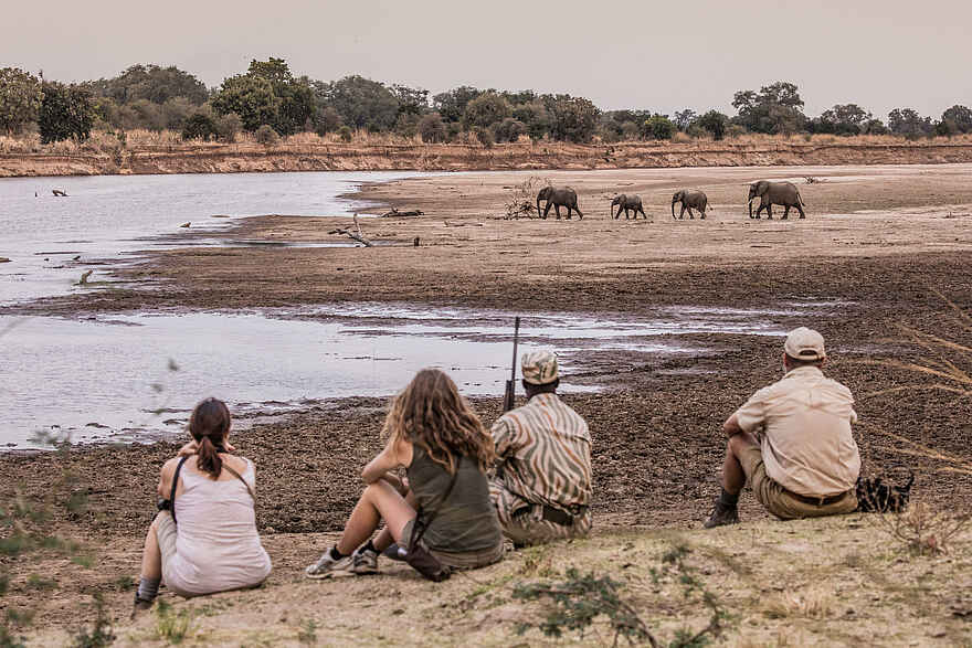 Chikoko Tree Camp: Am Fluß Chikoko Tree Camp: Am Fluß