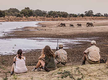 Chikoko Tree Camp: Am Fluß Chikoko Tree Camp: Am Fluß
