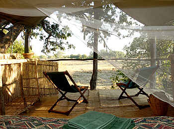 Chikoko Tree Camp: Die Aussicht Chikoko Tree Camp: Die Aussicht