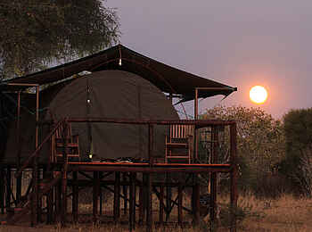 Jozibanini Camp: Eines der drei Zelte Jozibanini Camp: Eines der drei Zelte
