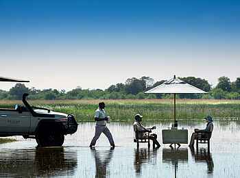 Khwai Leadwood: Snack im Delta