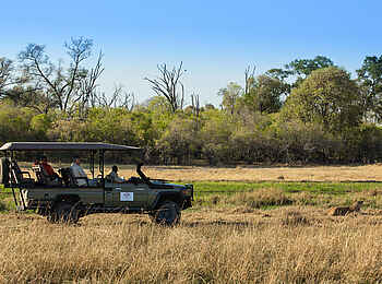Machaba Camp: Game Drive