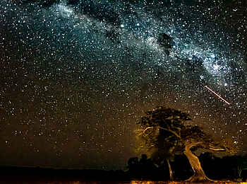 Mwamba Bush Camp: Beeindruckender Sternenhimmel Mwamba Bush Camp: Beeindruckender Sternenhimmel