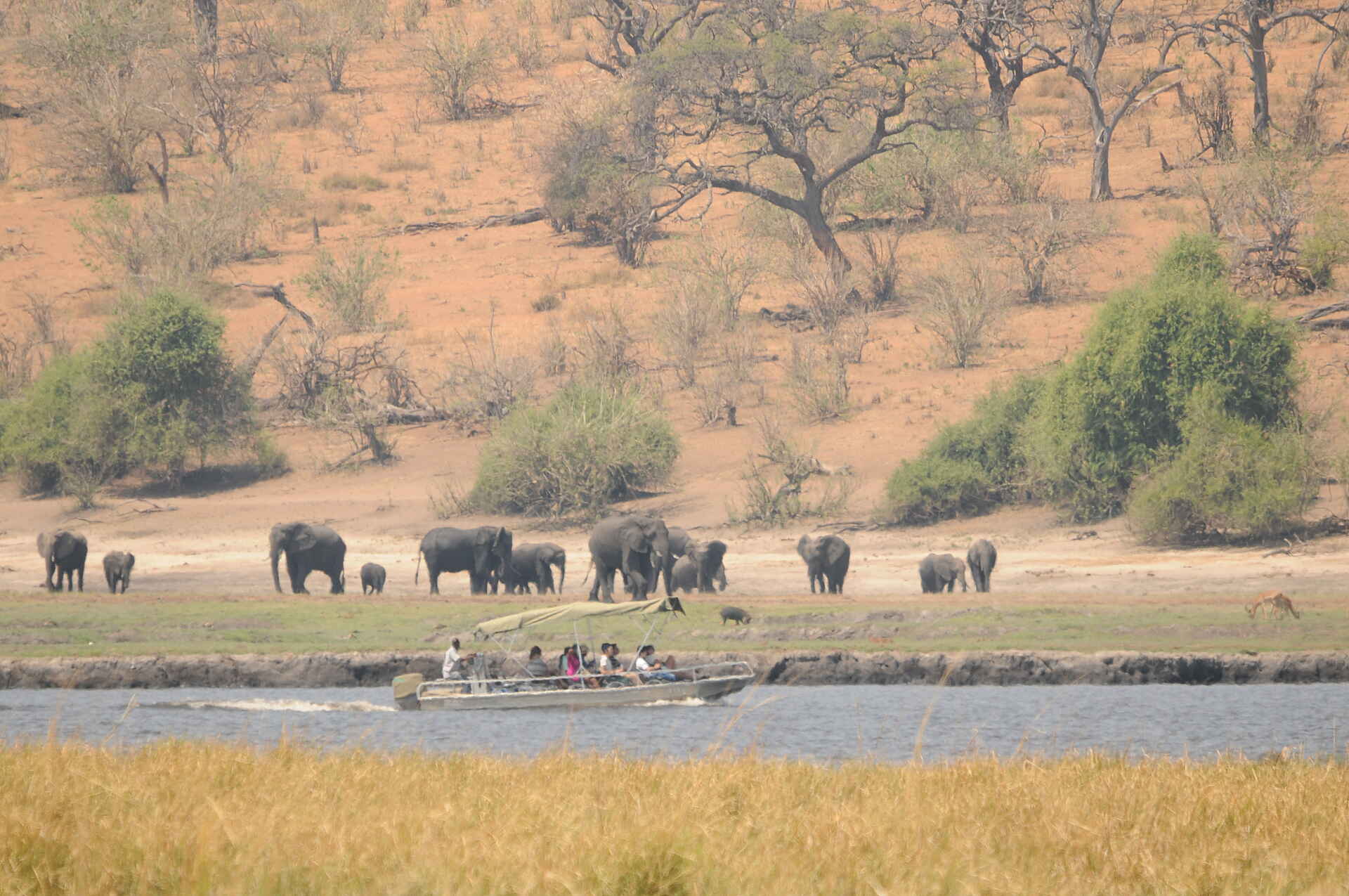 Ngoma Safari Lodge: Safari mit dem Boot