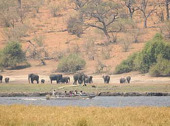 Ngoma Safari Lodge: Safari mit dem Boot Ngoma Safari Lodge: Safari mit dem Boot