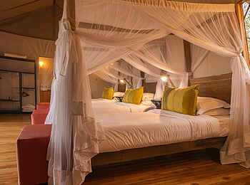 Sayari Camp: Family Tent - Bett