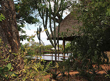 Tarangire Treetops: Blick auf das Main Dack