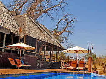 Tarangire Treetops: Swimming Pool