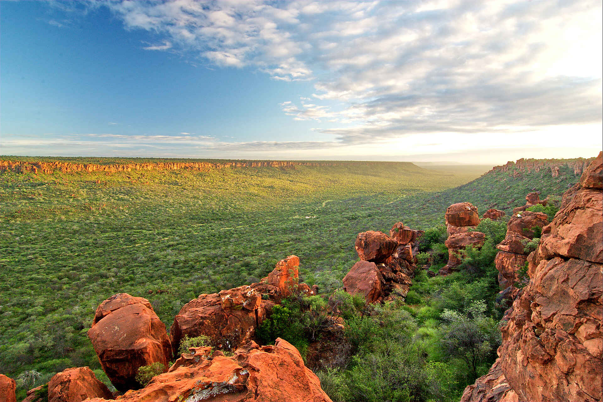 Waterberg Plateau Lodge: Buschsavanne